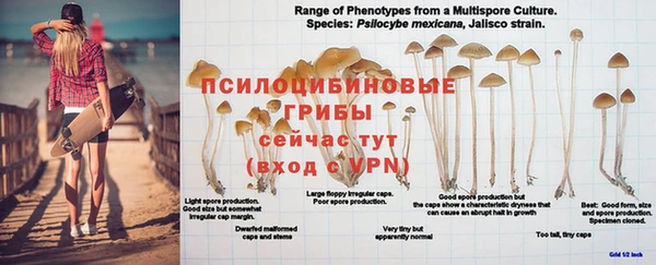 сатива Бронницы